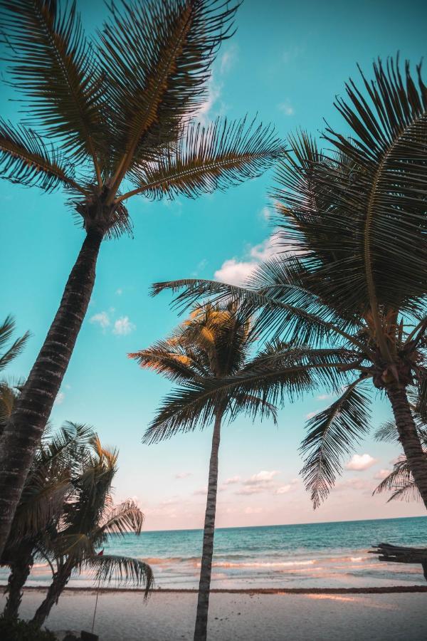 Breezy Beachfront Bali-Style Haven 180 Degree Oceanview Hau'ula Екстериор снимка